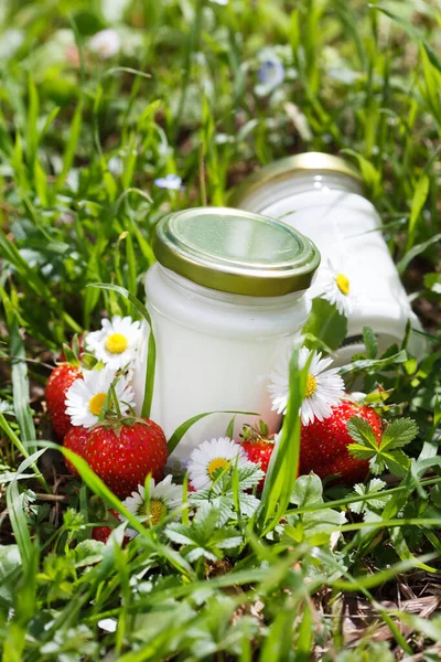 Organische Yoghurt Met Verse Aardbeien — Stockfoto