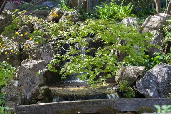 Spring Japanese Garden River — Stock Photo, Image