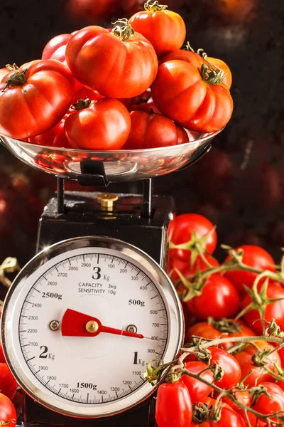 Fresh Tomatoes Scales — Stock Photo, Image