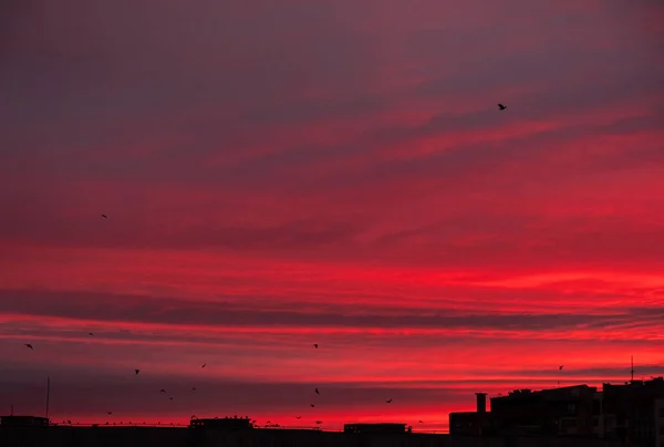 街の日の出が赤い空に近づく — ストック写真