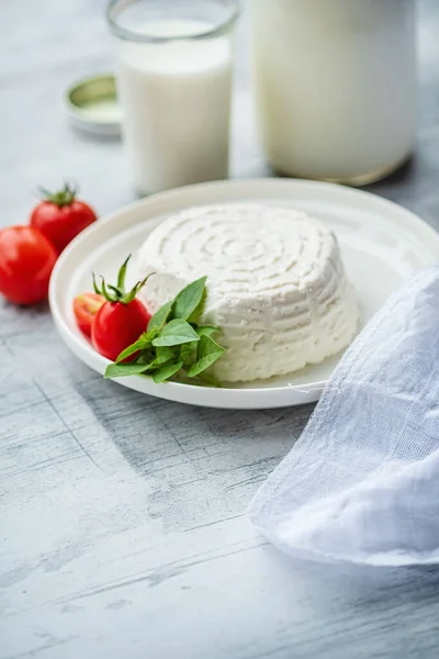 Verse Ricotta Kaas Met Basilicum — Stockfoto