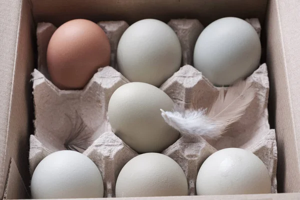 Ovos Orgânicos Caixa — Fotografia de Stock