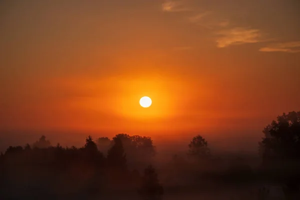 Spring Field Meadow Road Sunset Sunbeams Dawn Sunrise — Stock fotografie