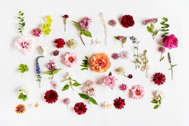 Beyaz üzerinde güzel çiçekler.