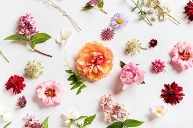 Beyaz üzerinde güzel çiçekler.