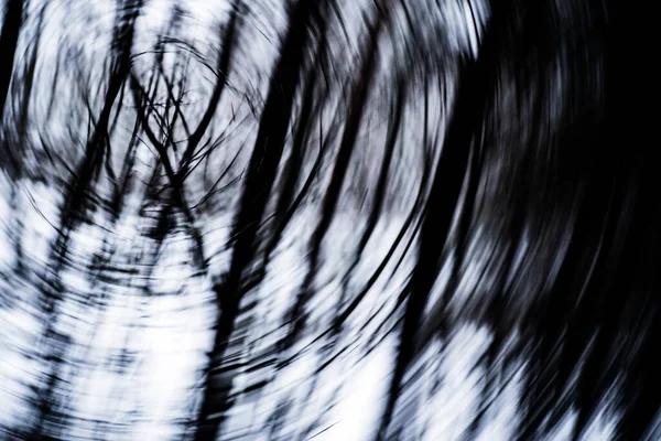 Dark Forest Blurred Trees — Stock Photo, Image