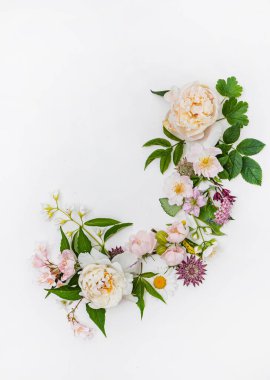 Beyaz arka planda yaz çiçekleri