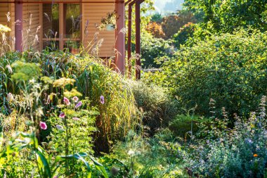 Çiçekleri ve çiçekleri olan organik bahçe