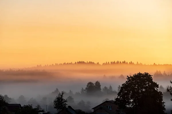 Beau Coucher Soleil Avec Brouillard Brumeux — Photo