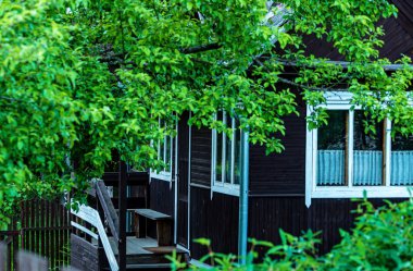 Yakınlarda küçük bir ev ve ağaç