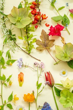 Sarı arka planda bahar çiçekleri ve yapraklar