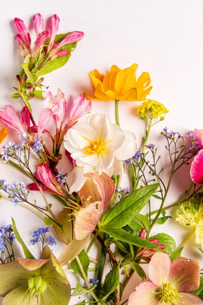 Flores Primavera Sobre Fondo Blanco — Foto de Stock