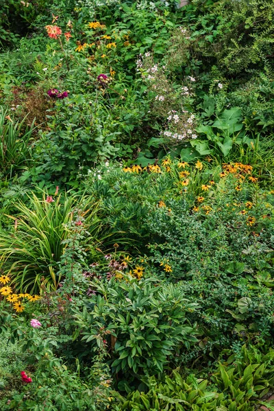 Organic Garden Vegetables Flowers — 图库照片