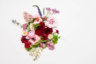 Beyaz üzerinde güzel çiçekler.