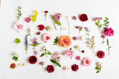 Beyaz üzerinde güzel çiçekler.