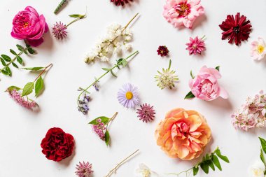 Beyaz üzerinde güzel çiçekler.