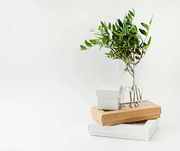 Concepto Floral Naturaleza Mínima Planta Pequeña Con Hojas —  Fotos de Stock