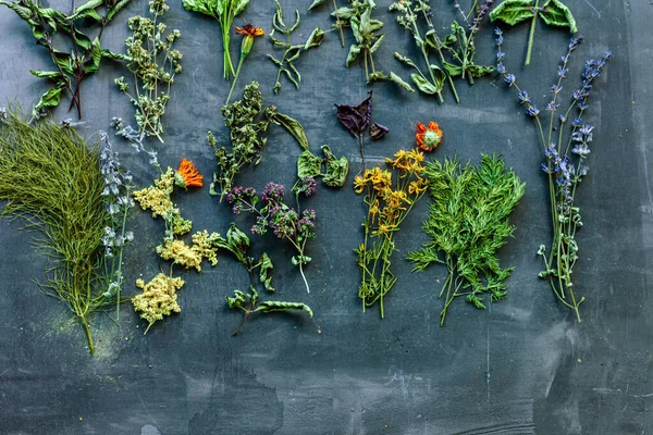 Different Herbs Dark Background —  Fotos de Stock