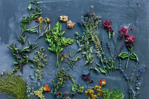 Different Herbs Dark Background — Stockfoto