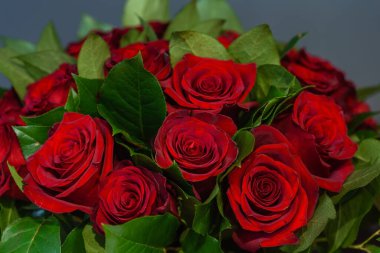 fresh roses in the vase