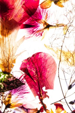 Beyaz arkaplanda kuru akarsular