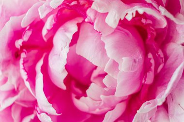 Çiçekli düğün, bahar ya da bahçe dekorasyonu konsepti.