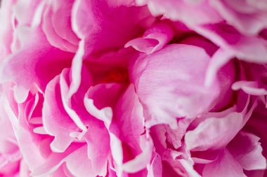 Çiçekli düğün, bahar ya da bahçe dekorasyonu konsepti.