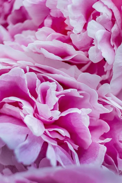 Conceito Floral Decoração Casamento Primavera Jardim — Fotografia de Stock
