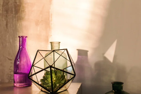 ガラス花瓶のサボテンと多肉植物 — ストック写真