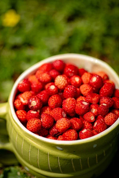 Strawberries Green Cup — Stock Photo, Image