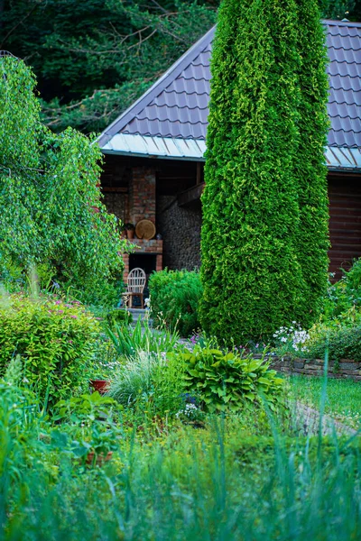 Summer Garden Different Plants — Stock Photo, Image