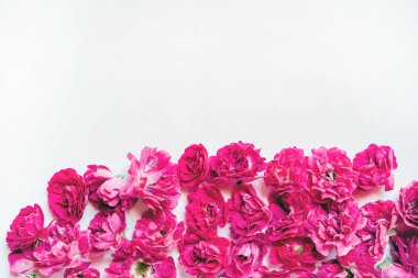 Beyaz arka planda taze güller