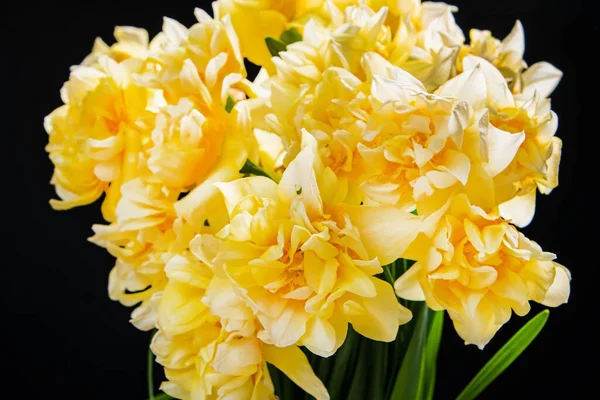 Daffodils Glass Vase — Stock Photo, Image