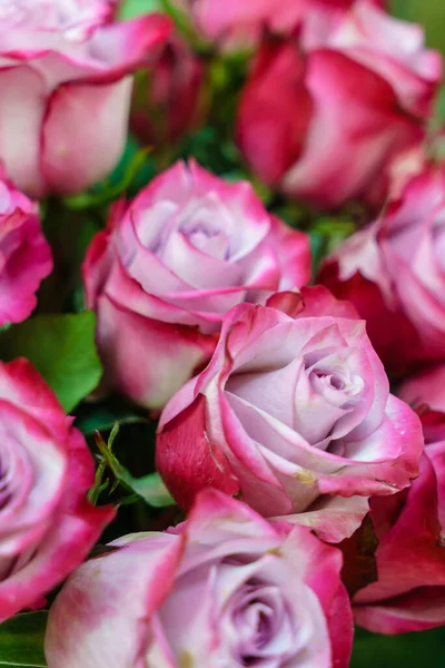 Large Beautiful Bouquet Rose Flowers — Stock Photo, Image
