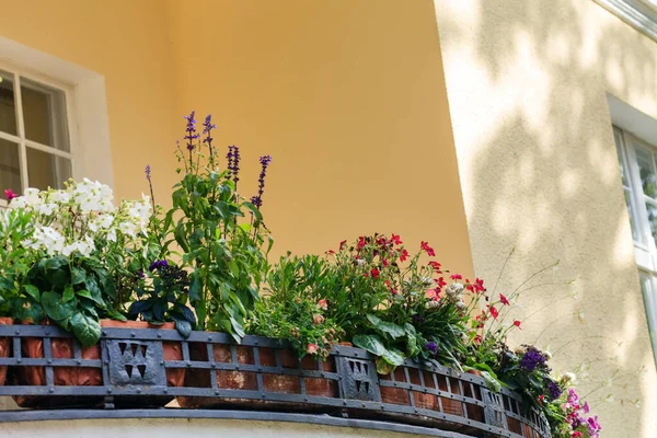 Nice Flowers Balcony — Stock Photo, Image