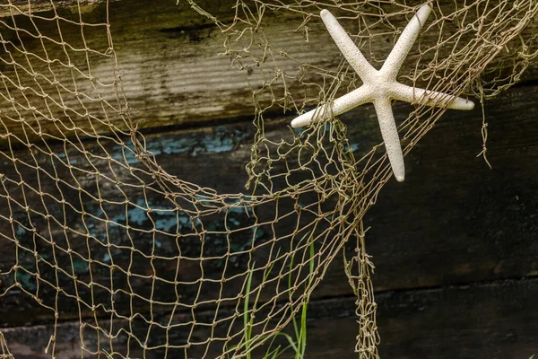 Fondo Marino Rústico Con Estrella Mar — Foto de Stock