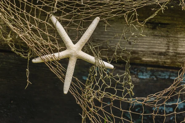 Fondo Marino Rústico Con Estrella Mar — Foto de Stock