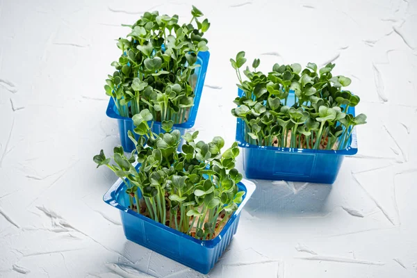 Organic Microgreens Box — Stock Photo, Image