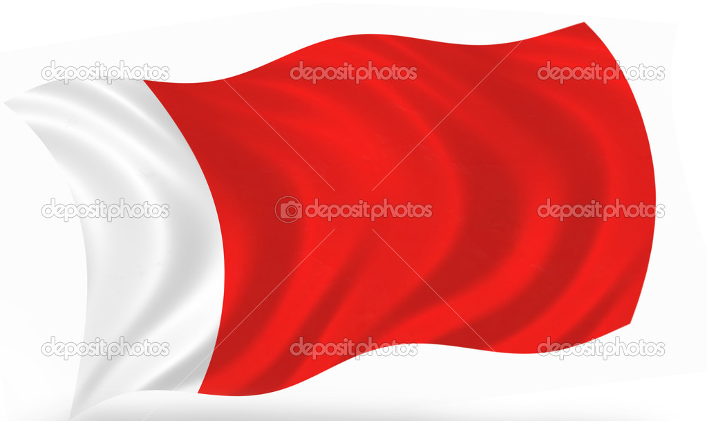 Dubai flag — Stock Photo © S._E 12644289