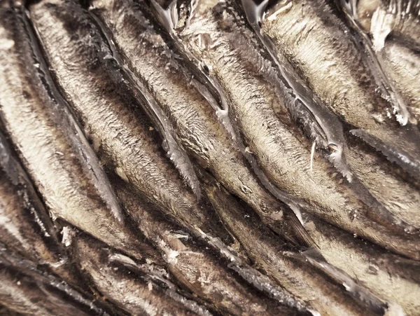 Fish conserves — Stock Image Fish conserves Stock Photo