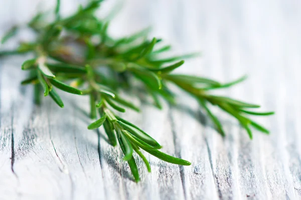 Rosemary — Stock Photo, Image