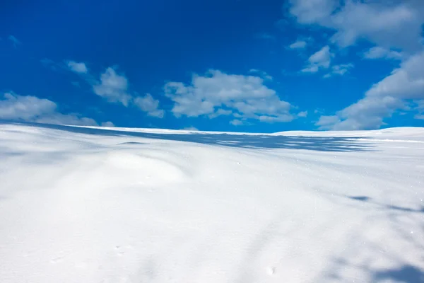 Winterlandschap — Stockfoto