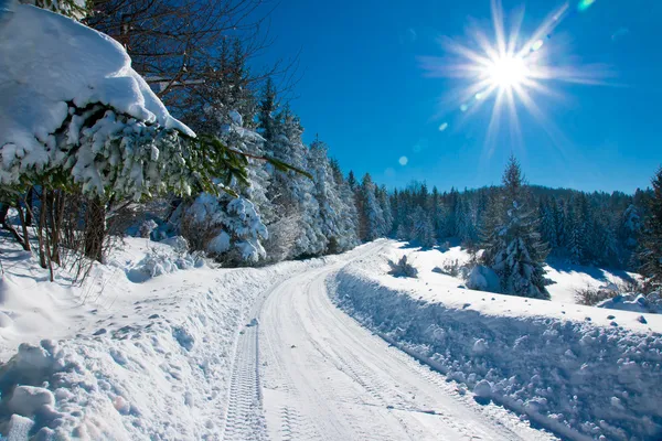 Vinter scen — Stockfoto