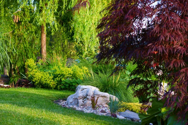 Bäume und grünes Gras im Park — Stockfoto