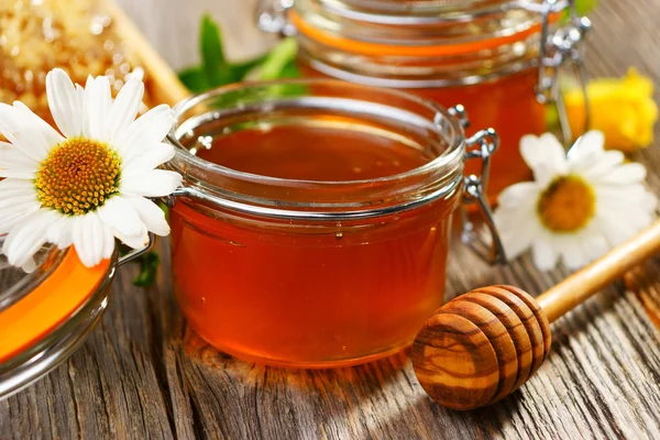 Potten met verse honing en Beer. — Stockfoto