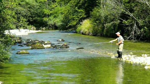 Πετούν ψαράς Ψάρεμα — Αρχείο Βίντεο