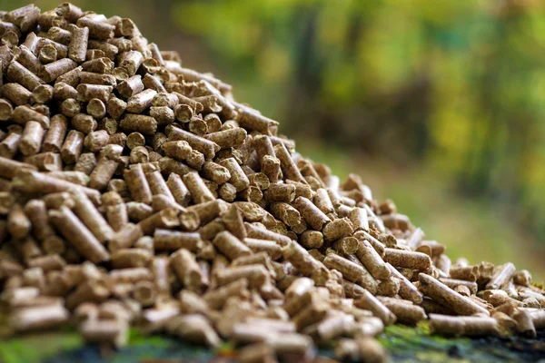 Wood pellets — Stock Photo, Image