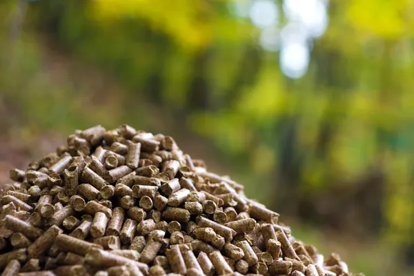 Wood pellets — Stock Photo, Image