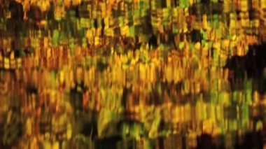 suyun yüzeyindeki yansımaları renkli sonbahar yaprakları.