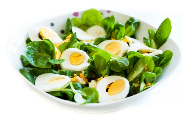Кукурузный салат с яйцом — стоковое фото
